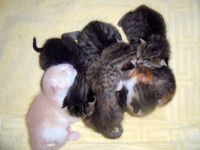 Pile of cuteness☺︎