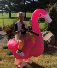 Flamingo Ride