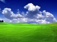 green-landscape-Wallpaper-1
