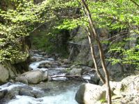 Mountain torrent
