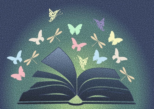 Butterfly studies