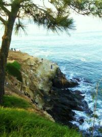 La Jolla coast - another view
