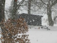 Snow Fall December 15 2017-2