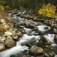 Yosemite-Merced River