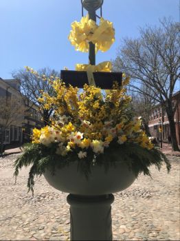 Early morning of Daffodil Festival