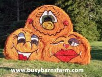 Hay Bale Pumpkins