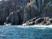 Tiny section of Maria Island's rocky coast - Tasmania