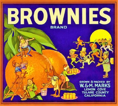 Vintage Fruit Label  ~ Brownies by Palmer Cox
