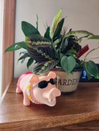 Mabel's gift to Hunter