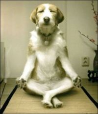 Meditation: My moment of Zen!