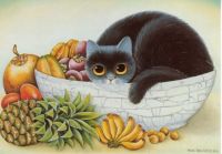 Cat in Fruit Bowl