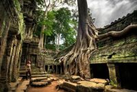 Ancient temple - Angkor Wat, Cambodia.
