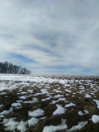 The Snow Is Melting...   02-19-24