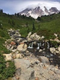 'On the Path' ~ Mount Rainier