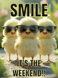 😎😎😎