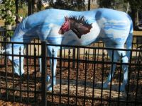 Ocala, FL horse #3