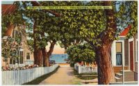 Provincetown Postcard