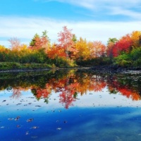 Autumn Colors