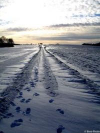 Snow - Bornholm