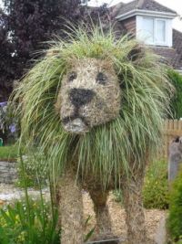 Scarecrow Lion