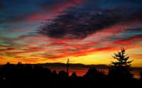 Thanksgiving sunset