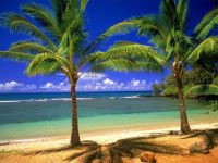 Beach #4