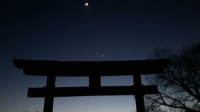 Moon-Venis-Torii-Gate