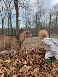 Mutual admiration