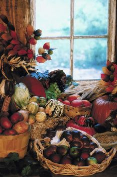 Bountiful Thanksgiving Wishes
