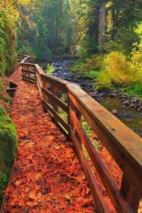 Creek Falls Catwalk, Oregon