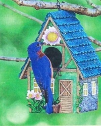 Cozy Cottage For Bluebird