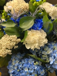 Blue and white beauty