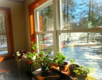 Love the sunshine!
