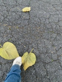 Leaves with my foot