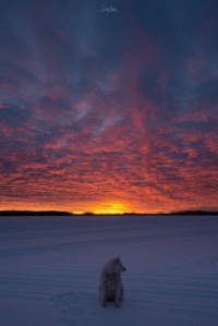 A Beautiful Saskatchewan Sunrise