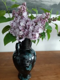 lilacs