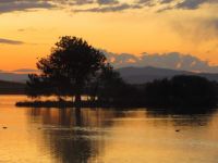 Sunset sillouette