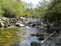 Aultgowrie Burn near Muir of Ord Scotland