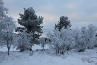 A cold winter day