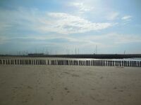 beach Cadzand