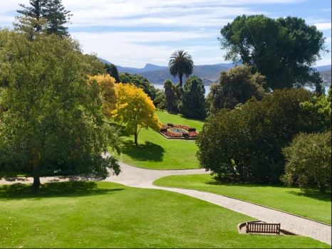 Hobart Royal Botanical Gardens #2