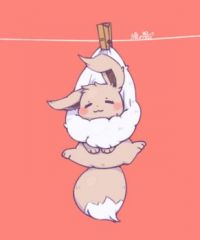 eevee