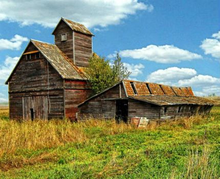 Solve Abandoned Pig and Grain Barn, North Dakota jigsaw puzzle online ...