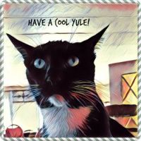 Cool Yule Cat
