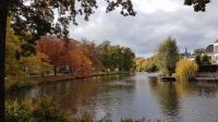 Autumn colours among the canals