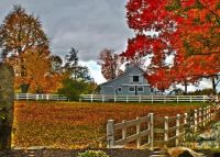 Autumn At The Farm