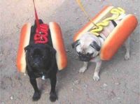 Fancy a hot dog!!!!!!!!!!!!!!!