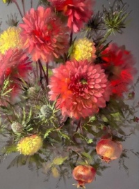 Bloemen