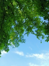Green and blue