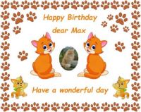 Happy Birthday dear Max (Jana's cat - Janazlouky)